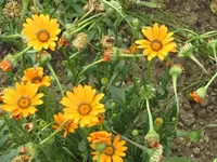 045.webp