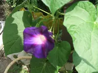 DSCF3784.webp
