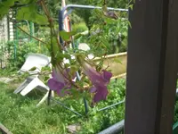 DSCF3793.webp