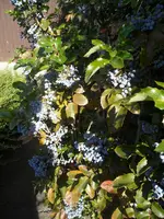 SAM_1407.webp