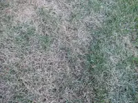 CIMG0163.webp