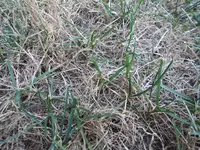 CIMG0168.webp
