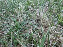 CIMG0169.webp