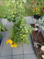 P7282265.webp