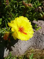 P1100448.webp