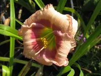 248_1024x768.webp