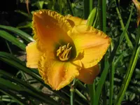 touch the light_1024x768.webp