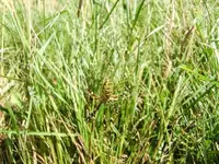 CIMG9168.webp