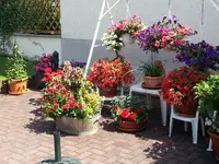 130806 Schattenecke.webp