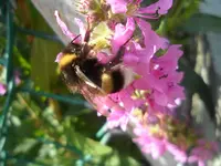 SAM_1425.webp