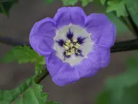 016.webp