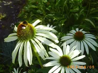 august05 004.webp