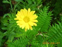 august05 027.webp