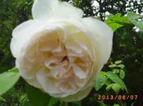 august05 034.webp