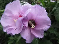 015.webp