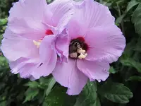 012.webp