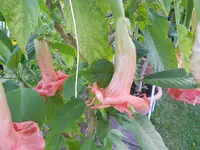 DSCN0888.webp