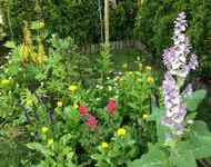 Schattenbeet.webp