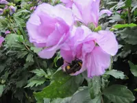 028.webp