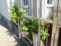 CIMG9364.webp