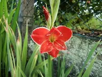 CIMG9154.webp