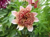 CIMG9443.webp