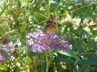 CIMG9087.webp