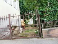 CIMG9160.webp