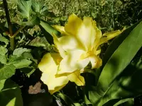 CIMG9369.webp