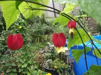 DSCF3003_800x800_300KB.webp