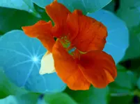 P1000370.webp