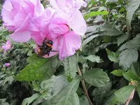 002.webp