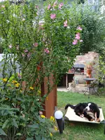 Garten.webp