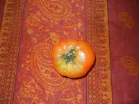 fruits jardin 003.webp