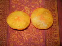 fruits jardin 005.webp
