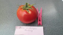 27. July 2013 (4).webp