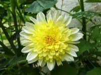 CIMG9543.webp