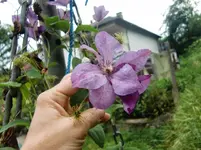 CIMG9542.webp