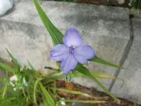 CIMG9610.webp