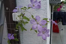 _DSC3003.webp