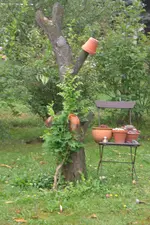 Garten 1 08 2013 001.webp