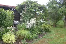Garten 1 08 2013 006.webp
