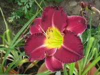 fata morgana5_1024x768.webp