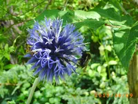 august06 008.webp