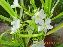 august06 031.webp
