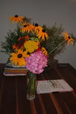 DSC_0102.webp
