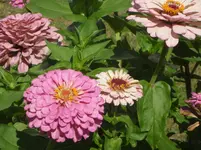 SAM_1421.webp