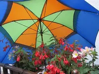 065.webp