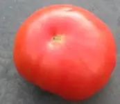 R_H_7.webp