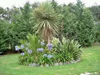 Gartenbilder NZ.webp